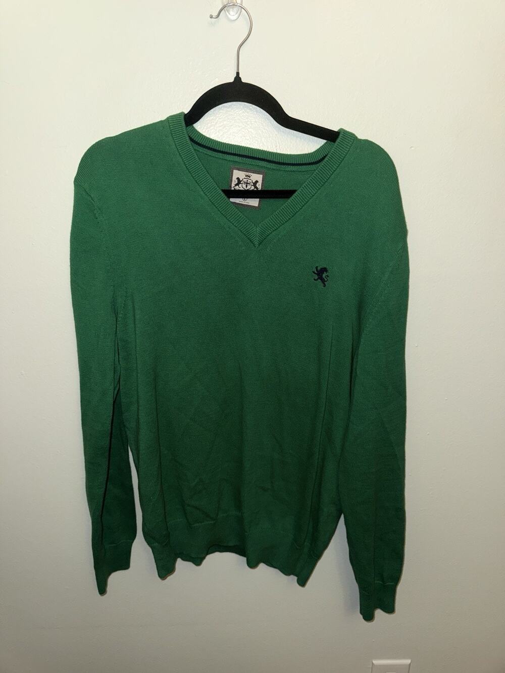 Express Sweater Pullover Men LG Green Knit V-Neck Long Sleeve Cotton Regular